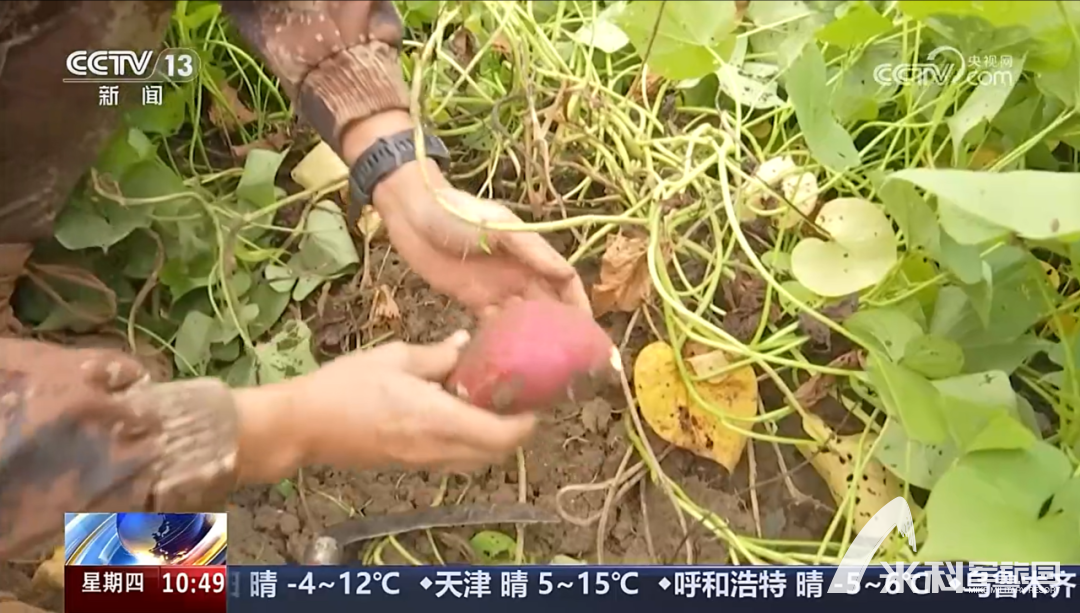 秋假顶流打卡地10